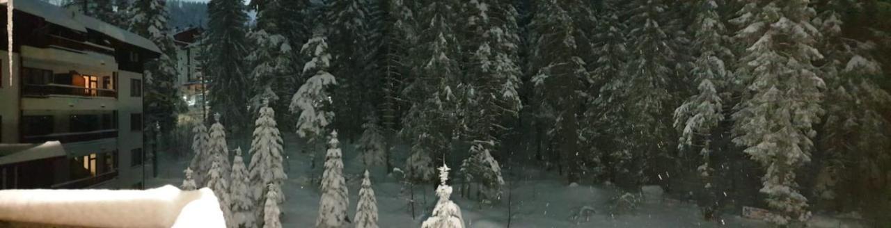 Charming Winter Studio Borovets Exterior photo